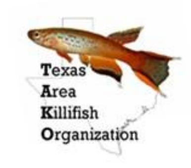 2025-08-15 TAKO Belle Revue August 15 – 17 2025