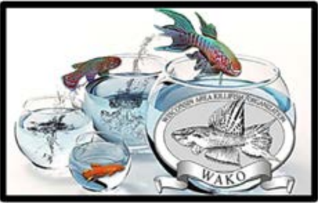 2025-11-01 Wisconsin Area Killifish Org (WAKO) Egg-Laying Toothcarp Jamboree Nov. 1-2 2025