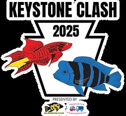 2025-09-26 Keystone Clash – AKA Sanctioned Show 9/26/2025 – 9/28/2025